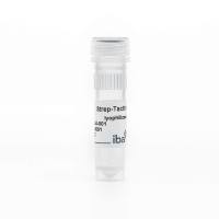 Strep-Tactin®, lyophilized 