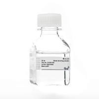 BioLock - Biotin blocking solution