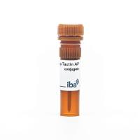 Strep-Tactin® AP conjugate 