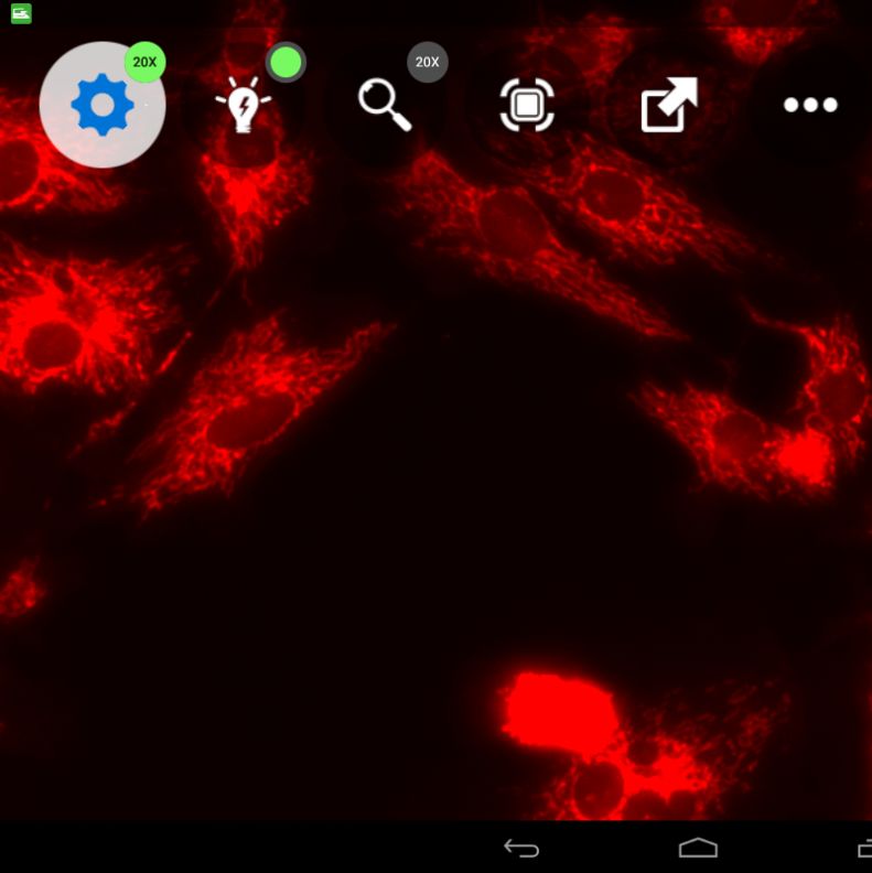活细胞成像系统 细胞成像系统培养箱内实时观察细胞动态