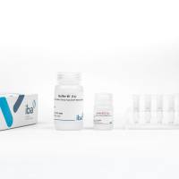 Strep-Tactin®XT Spin Column Kit离心纯化套装组