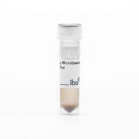 Strep-Tactin® Magnetic Microbeads 