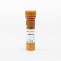 Strep-Tactin®XT DY-649 conjugate 