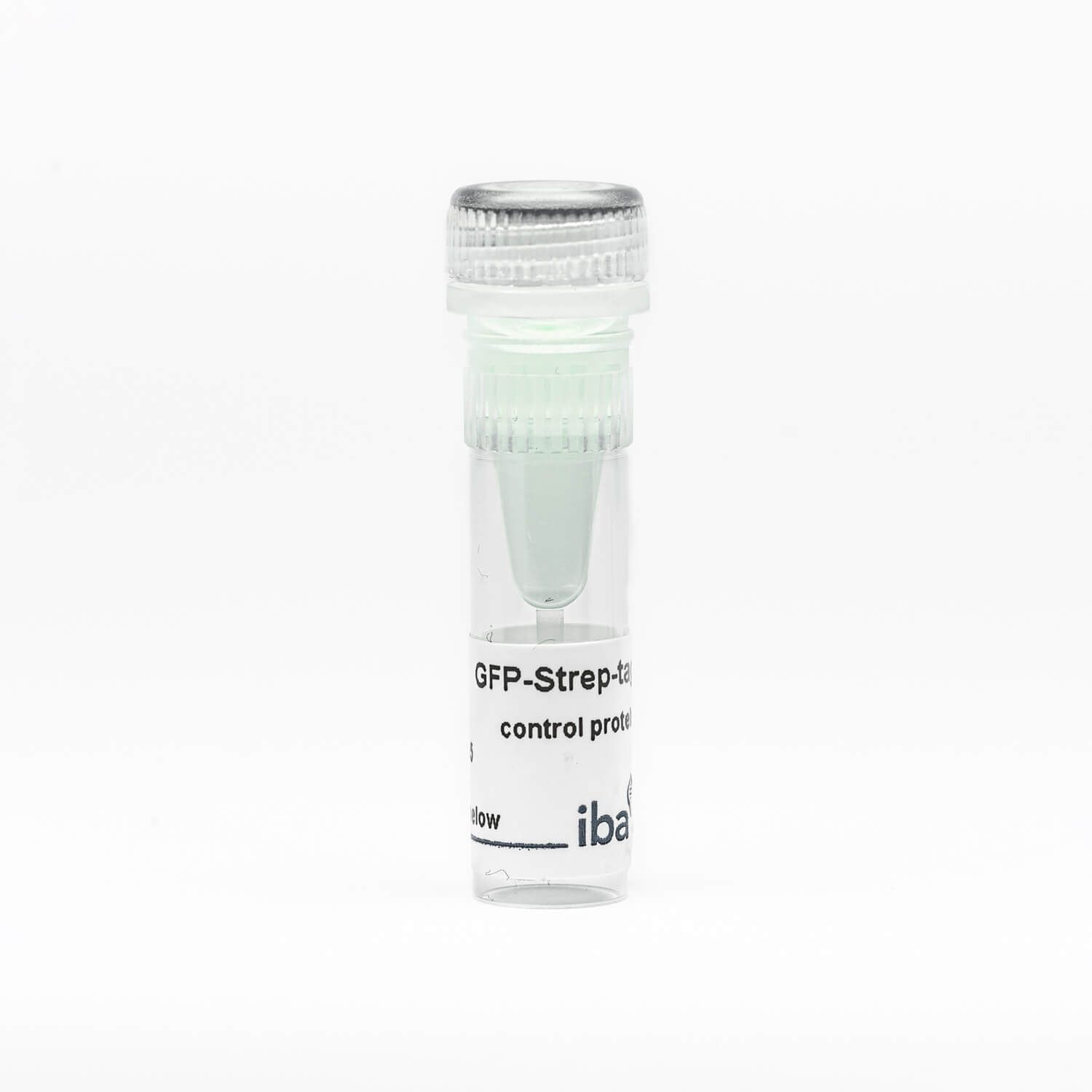 GFP-Strep-tag control protein, Strep-tag®II