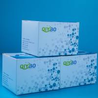 来自 AnySample 试剂盒的 LumiPure 基因组 DNA