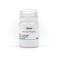 Biotin 生物素