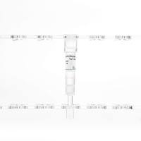 Strep-Tactin® Superflow® high capacity column 纯化柱