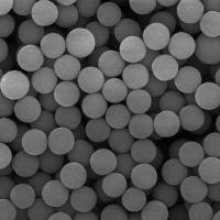 Streptavidin 化学发光磁珠 链霉亲和素磁珠2.8um