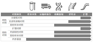 丁香实验推荐阅读