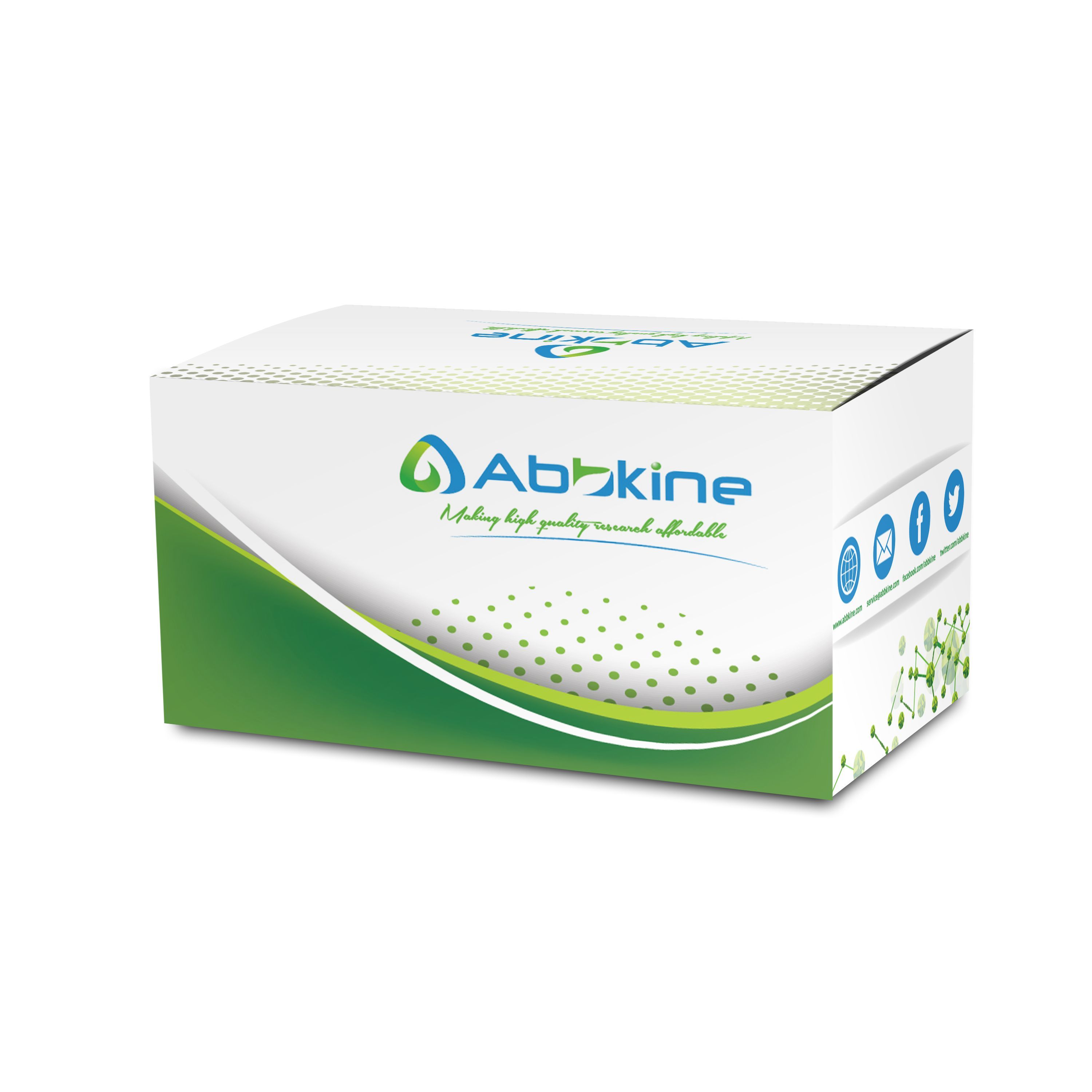 TraKine™线粒体与细胞核双染色试剂盒/TraKine™ Mitochondrion and Nuclear Staining Kit