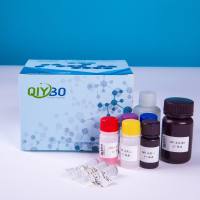 大鼠骨形态发生蛋白 2 (BMP2)ELISA 测定试剂盒