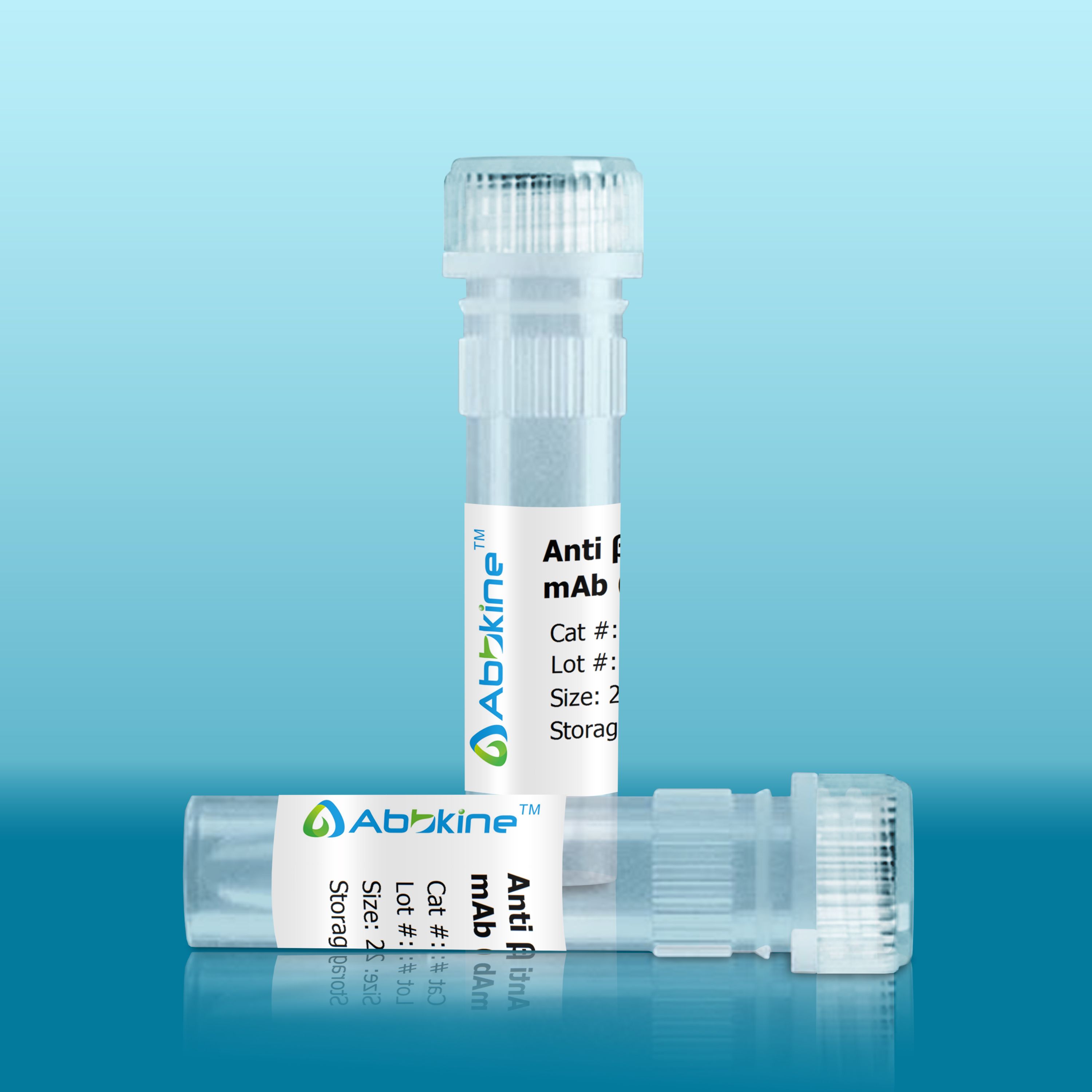 PurKine™ 抗体纯化试剂盒（蛋白A/G）/PurKine™ 抗体纯化试剂盒（蛋白A/G）