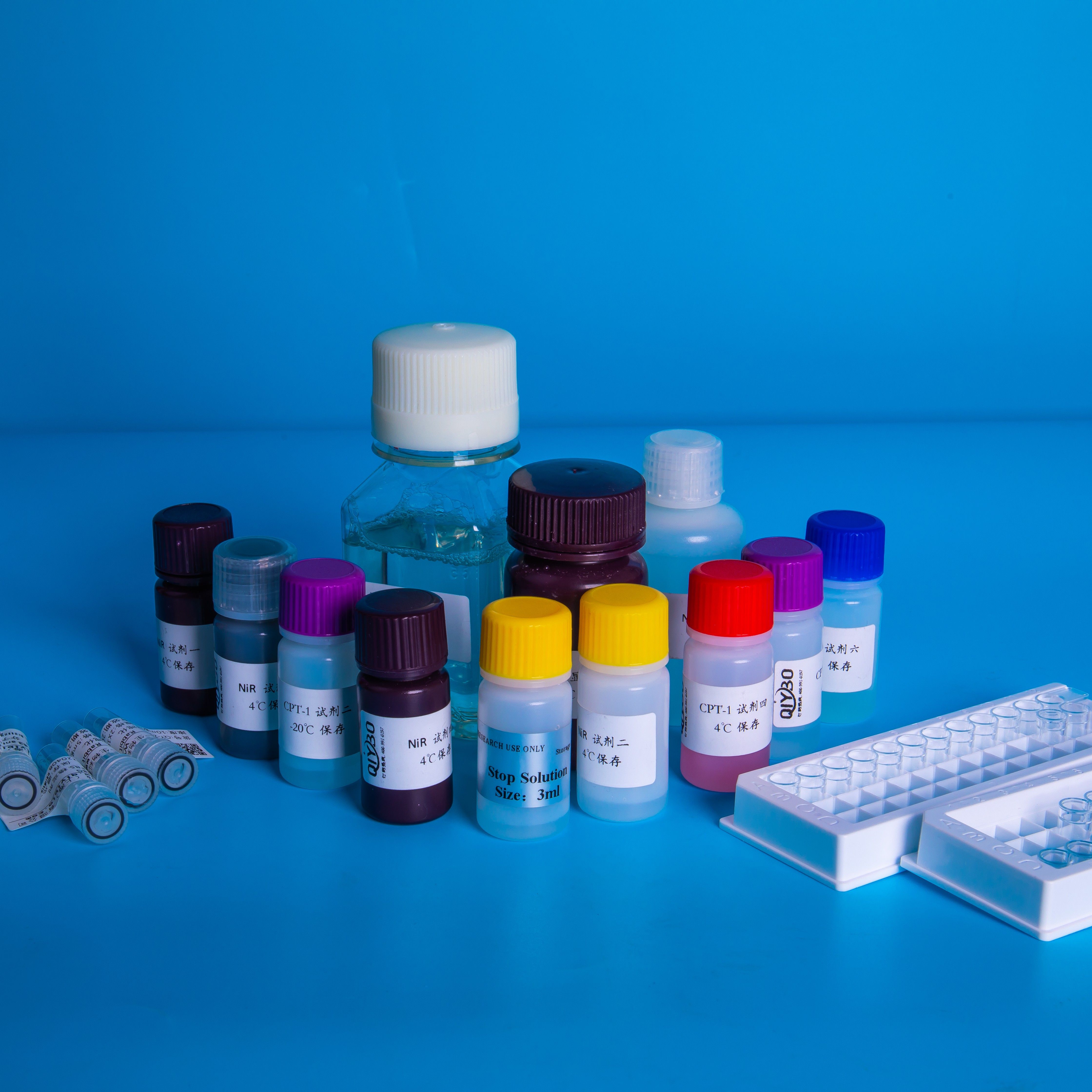 人总 IgG，SARS-CoV-2 核衣壳蛋白 (NP)，ELISA 测定试剂盒