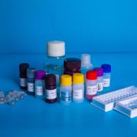 人总 IgG，SARS-CoV-2 核衣壳蛋白 (NP)，ELISA 测定试剂盒