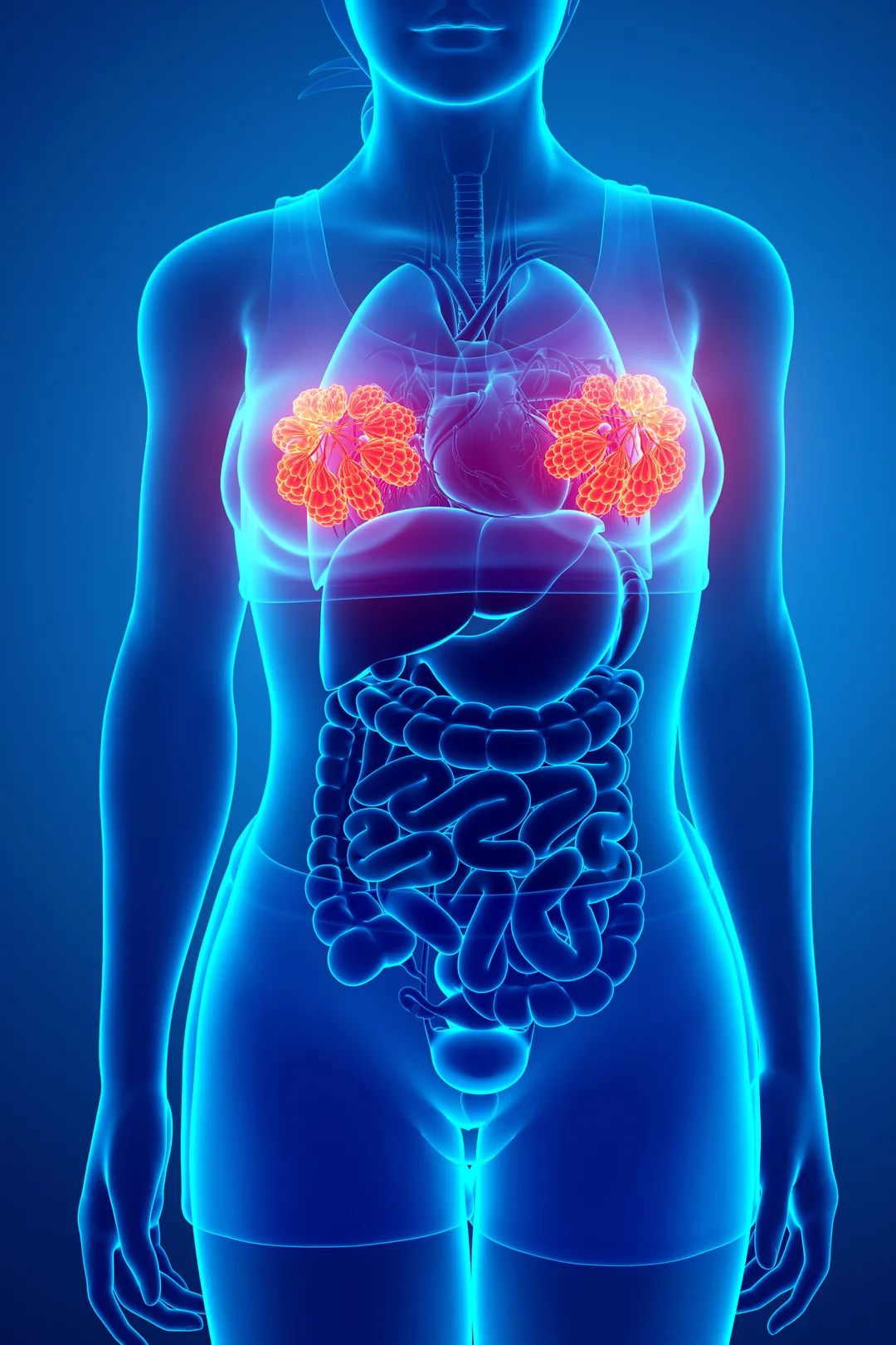 乳腺癌发病,这两个年龄段是高峰!