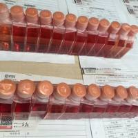 XWLC-05+GFP 云南宣威肺腺癌细胞系绿色荧光标记