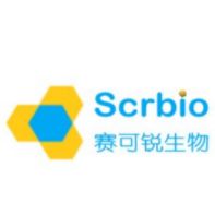 (2R,3S,4R,5R)-2-(Hydroxymethyl)-5-(6-methyl-9H-purin-9-yl)tetrahydrofuran-3,4-diol