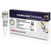 Thermo Scientific 酶和抑制剂-限制性内切酶-1