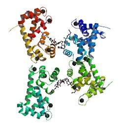 阿狄科®大/小鼠S100A8/A9蛋白检测试剂盒（酶联免疫法