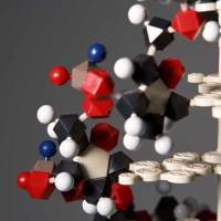 CAS：130495-35-1、98% by TLC、NMR (Conforms)、SKF-96365