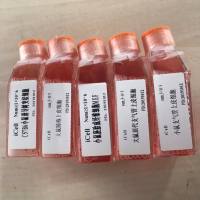 SW620+GFP、SW620细胞、SW620/GFP细胞、SW620/GFP、结直肠