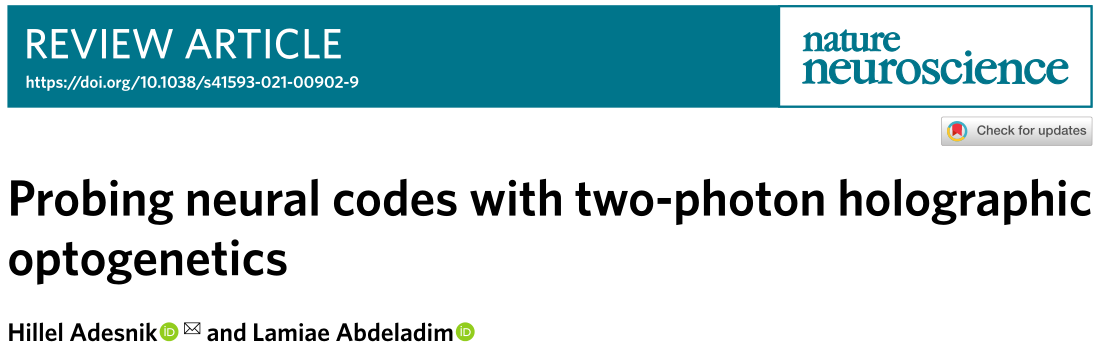Nature神经科学综述｜双光子全息光遗传学解码神经科学