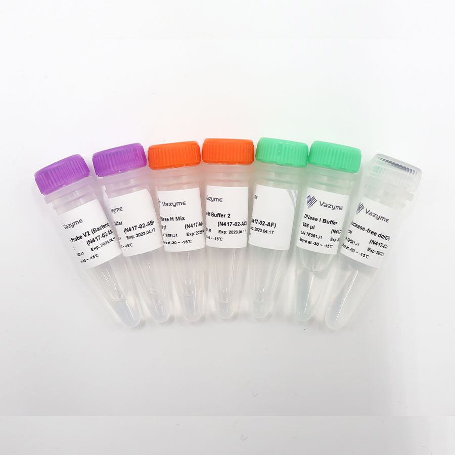 Ribo-off rRNA Depletion Kit V2 (Bacteria)（升级版革兰氏阳性菌和革兰氏阴性菌的rRNA去除）（N417）