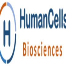 HumanCells Biosciences，人脐带血CD14+单核细胞