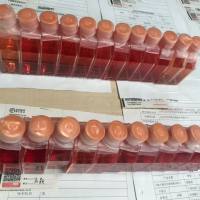 FTC-133 人甲状腺癌细胞/STR鉴定