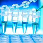 CAS：118414-82-7、98% by TLC、NMR (Conforms)、MK-886