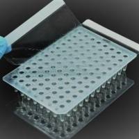 BUNSEN本生荧光定量 qPCR 封板膜