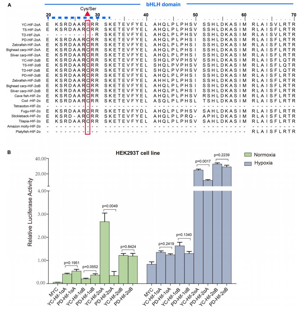 低氧/厌氧产品案例——高原低氧研究