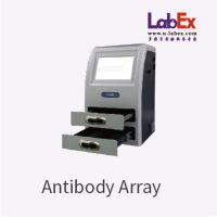 抗体芯片(Antibody Array)代测服务