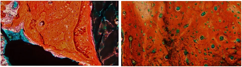 技术资料图片10