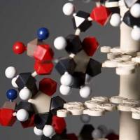 CAS：301353-96-8、98% by TLC、NMR (Conforms)、P7C3