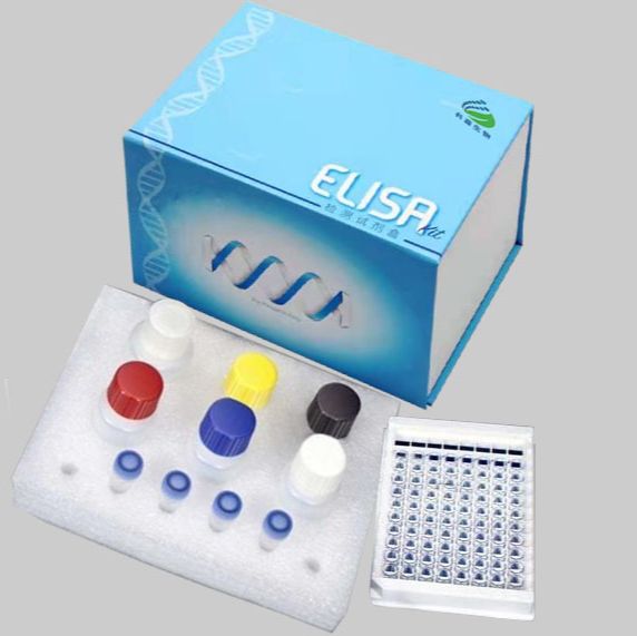 人脱氧核糖核酸酶Ⅰ(DNase-Ⅰ)elisa试剂盒