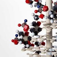 CAS:179113-91-8、98% by TLC、NMR (Conforms)、NA-甘氨酸