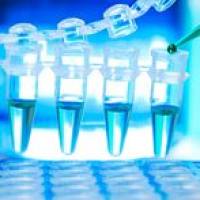 CAS：75330-75-5、98% by TLC、NMR (Conforms)、洛伐他汀