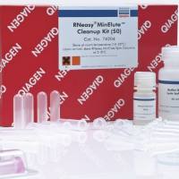 凯杰优秀代理商QIAGEN 74204 RNeasy MinElute Cleanup Kit