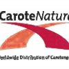 CaroteNature10’-阿朴-β-胡萝卜醛 10’‐Apo‐β‐carotenal 640-49-3
