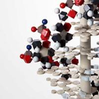 CAS：136632-32-1、98% by HPLC、NMR (Conforms)、ALLM