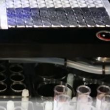 基孔肯雅热IgM抗体ELISA诊断试剂盒