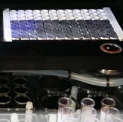 丝虫病IgG4抗体诊断试剂（elisa法）