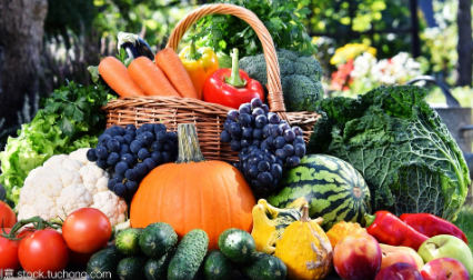 哮喘病因与日常预防护理指南