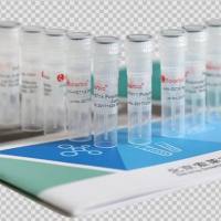 Anti-NANP Polyclonal Antibody