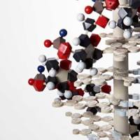 CAS:309928-48-1、98% by TLC、NMR (Conforms)、KL-001