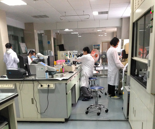 猫鼻支/疱疹抗原检测卡（胶体金法）