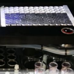 寨卡病毒IgM抗体ELISA 检测试剂盒