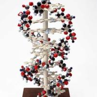 CAS:662163-81-7、97% by TLC、NMR (Conforms)、IPZ