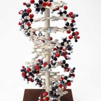 CAS：111-58-0、98% by TLC、NMR (Conforms)、油酰乙醇酰胺